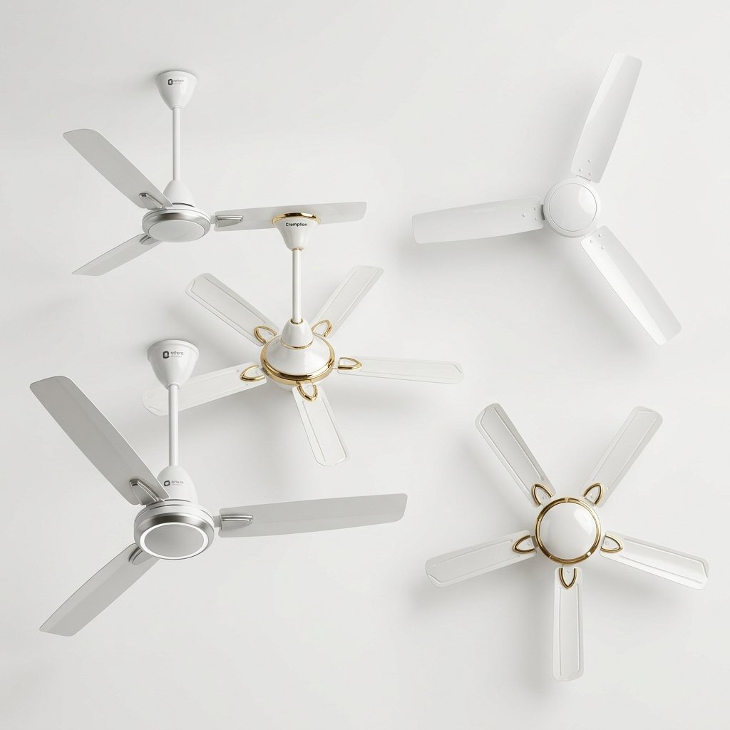 Fans